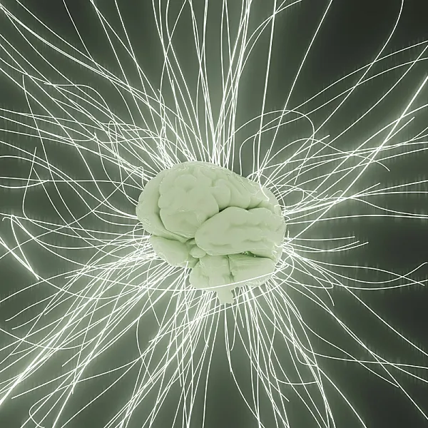 The Psychology of a Great Domain: What Makes a Name Stick?