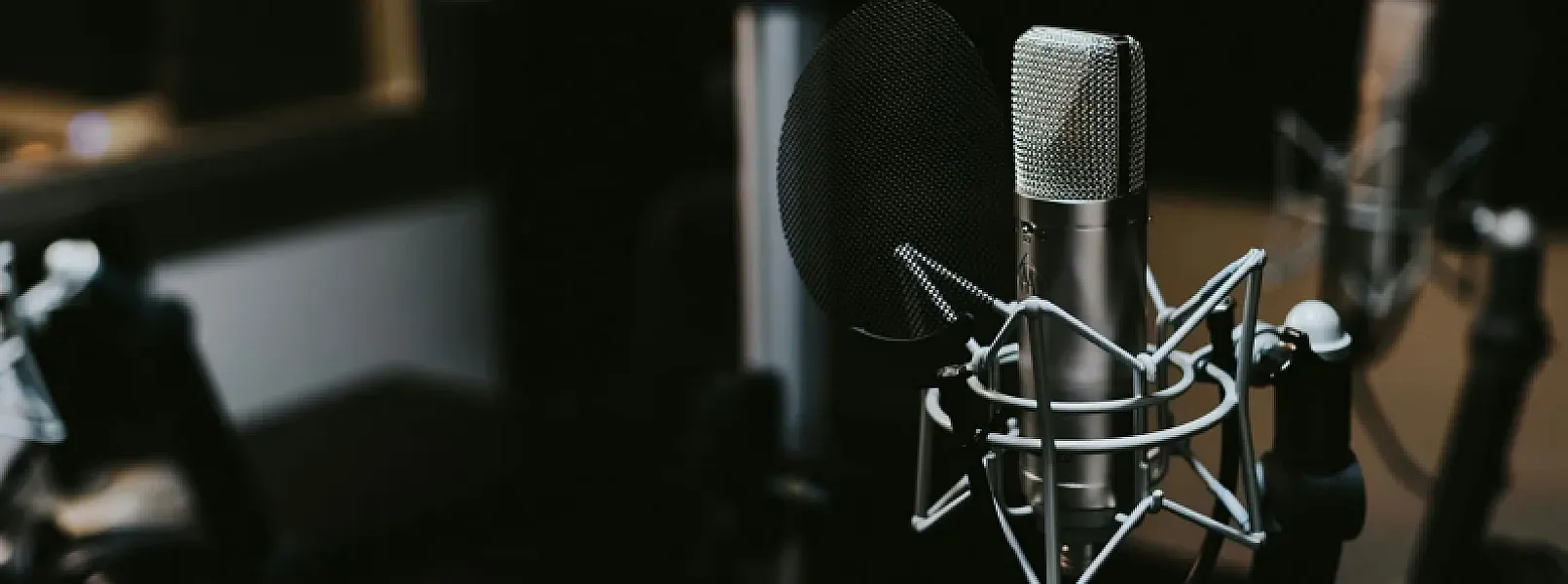 Internet Innovation, Sales, and Digital Music Collecting – A Conversation with Ben Katz